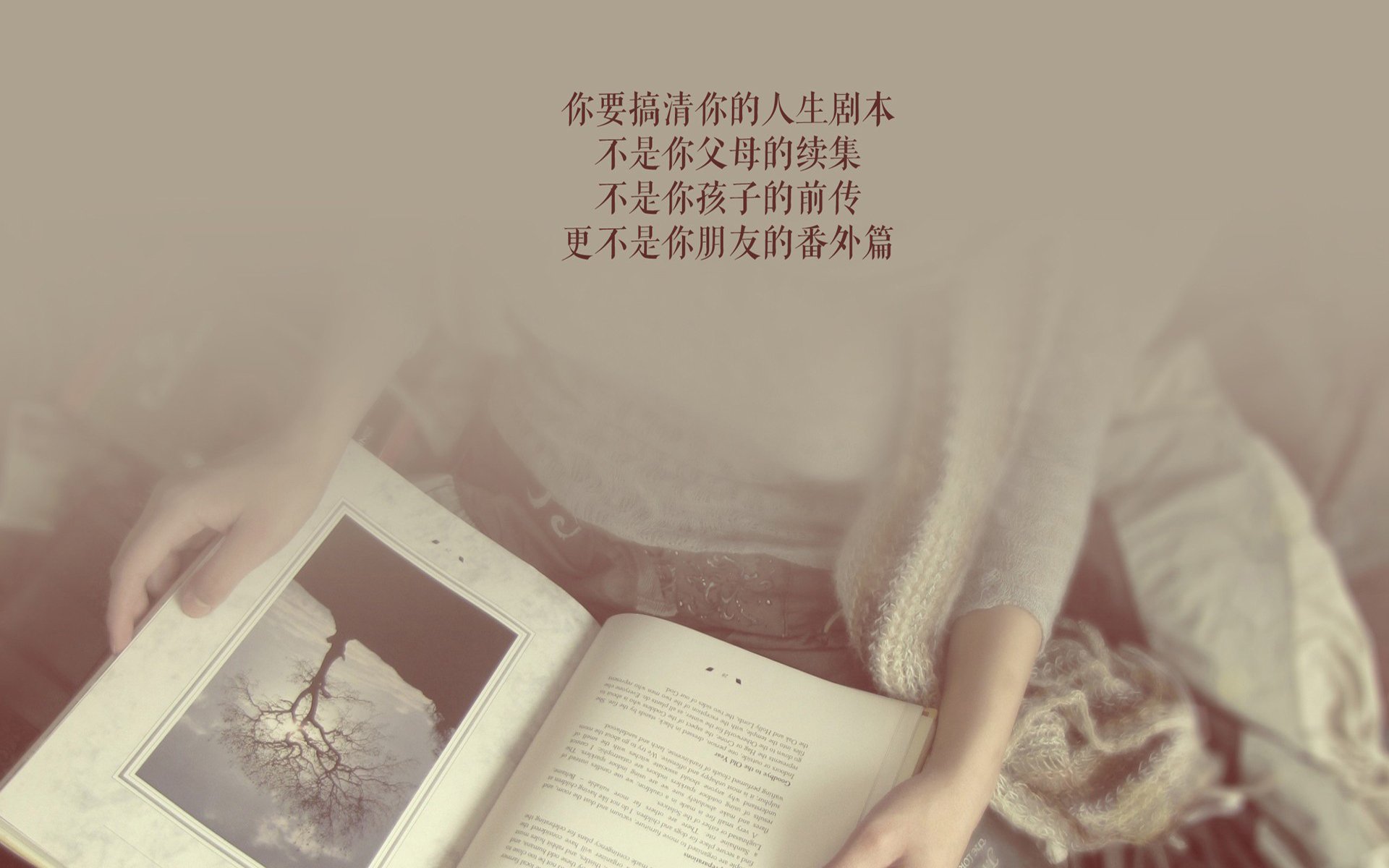 塞内加尔马术队在非洲马术锦标会盛装舞步赛中获得第六名，成绩可圈可点。
