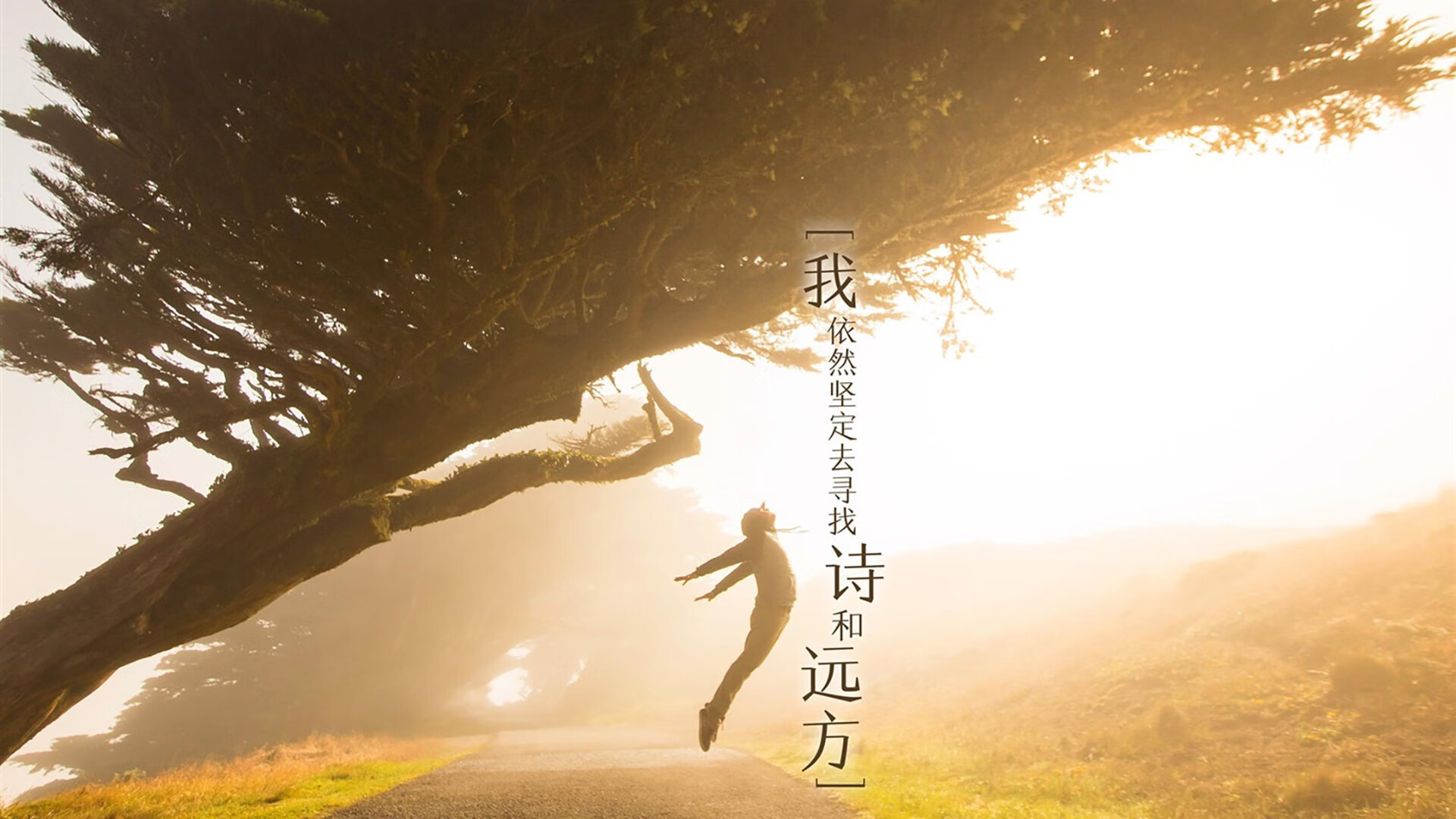 步行者球员自资创办青年训练营，支持家乡青训，步行者训练馆