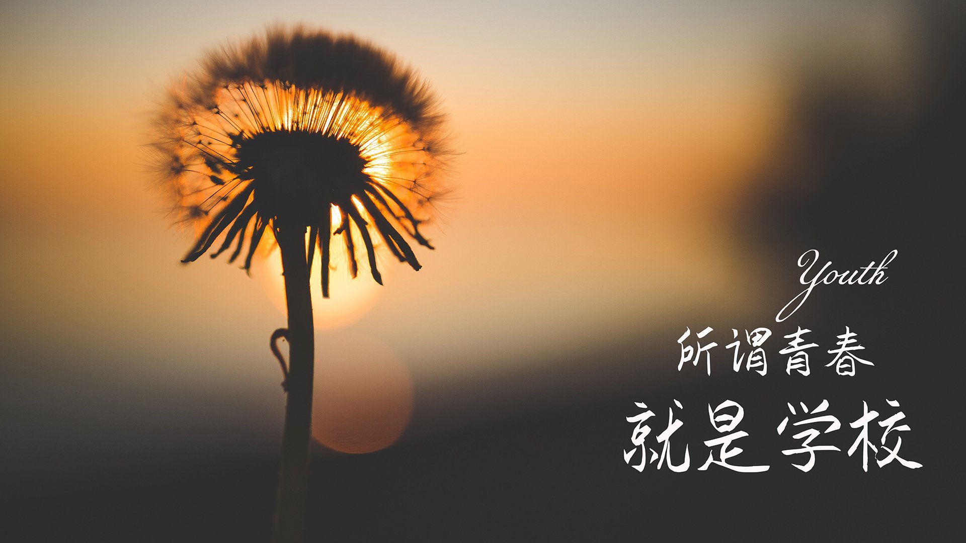 拜仁遭遇塞尔塔：强弱对比将分晴雨，拜仁vs塞维利亚结果