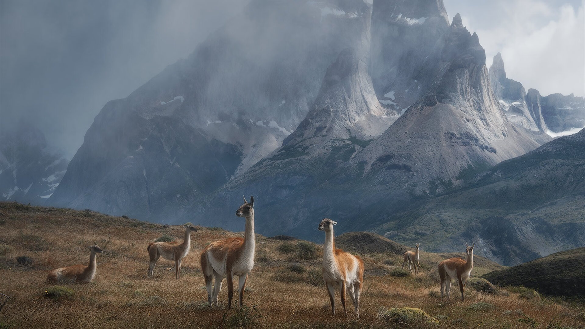 Chinese Taipei团队未来发展：从青训到职业赛场的全面布局，chinese台北是什么意思