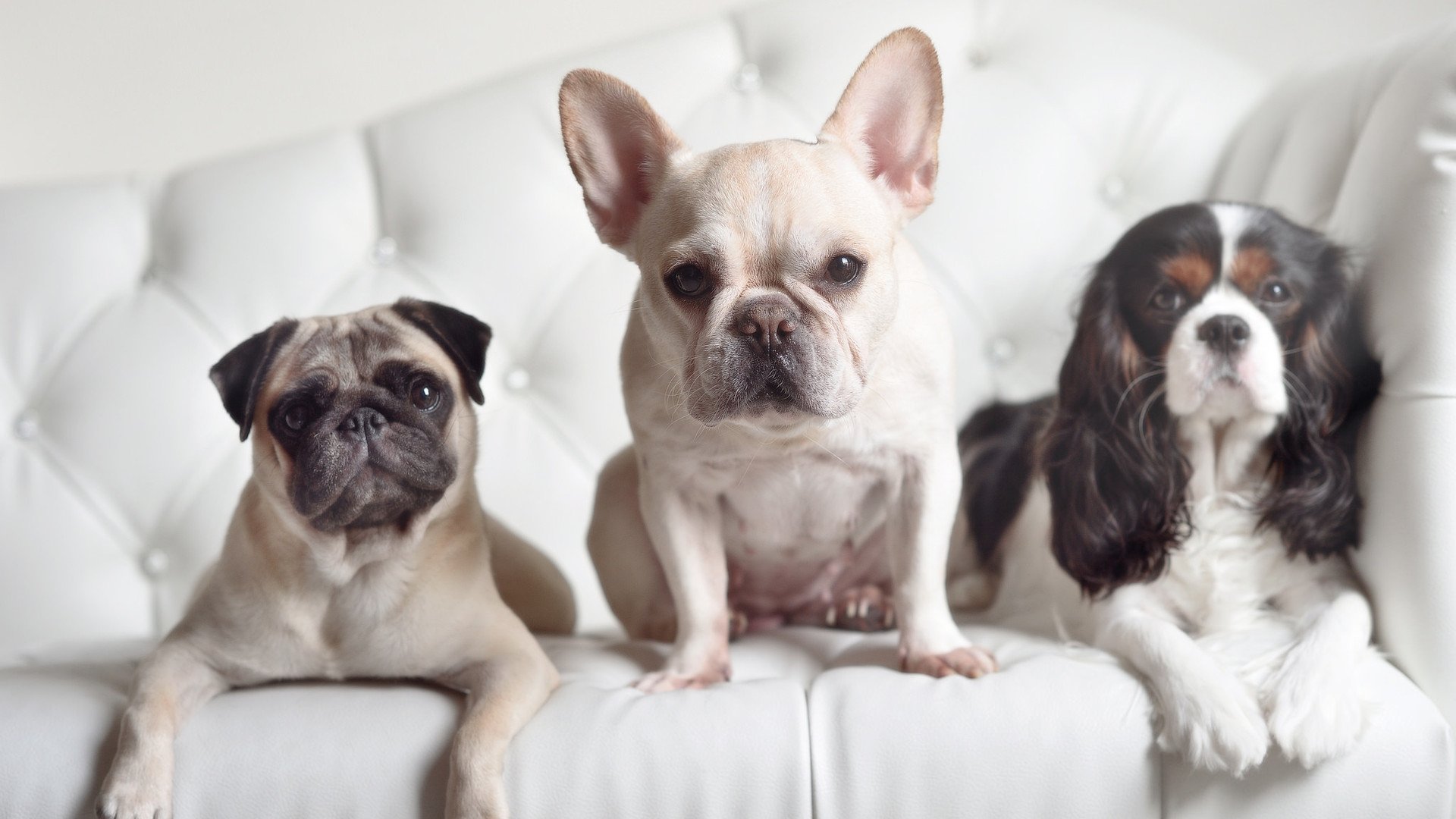 体育新闻中心发布体育社群运营策略研究成果，体育社团公众号