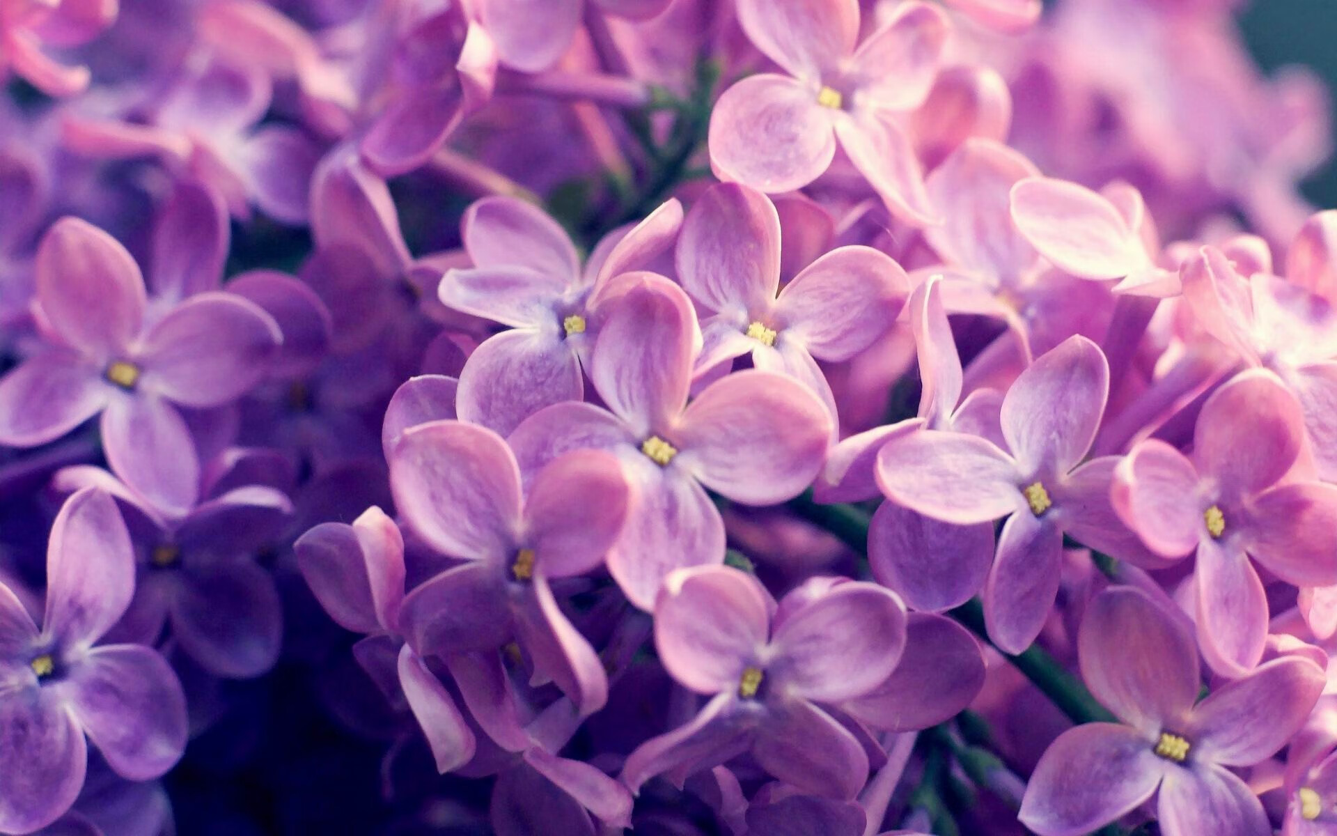 青少年足球赛事缺乏专业组织，青少年足球赛事缺乏专业组织知识