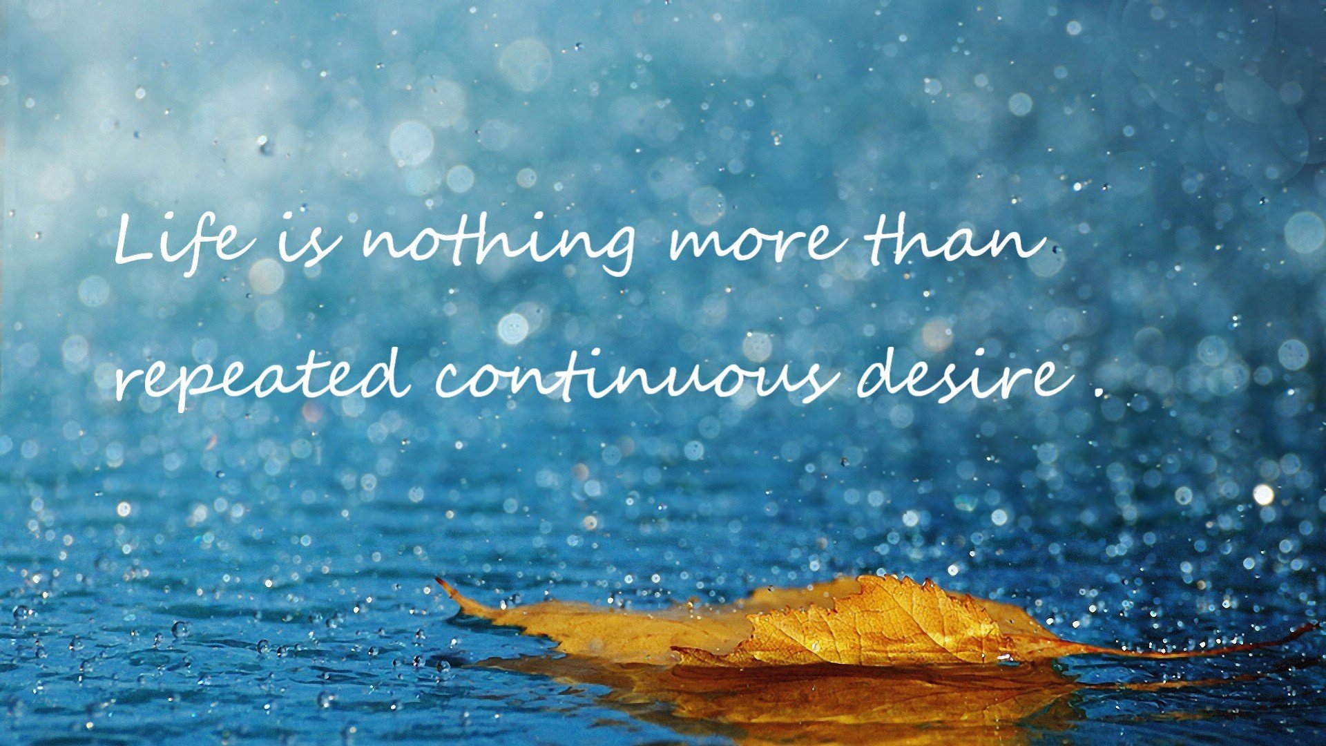 青年联赛转播上星未来之星崭露头角,2021未来之星上海青少年国际标准舞公开赛