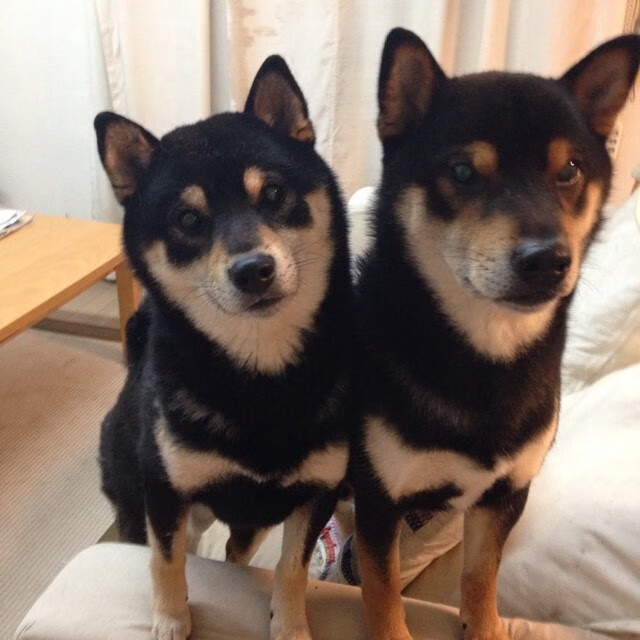 开云中国大陆-中国足球青训基地环境设施提升工程竣工，中国足球青训基地有哪些