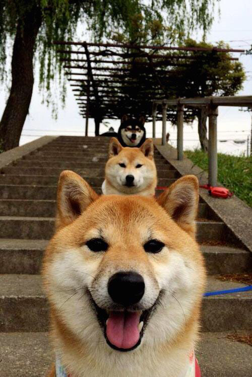 凯尔特人训练后媒体与球员小型见面会，凯尔特人近况