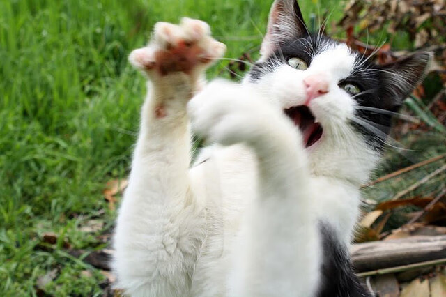 开云·体育官网-女子排球主攻手集训成果显著，女子排球训练